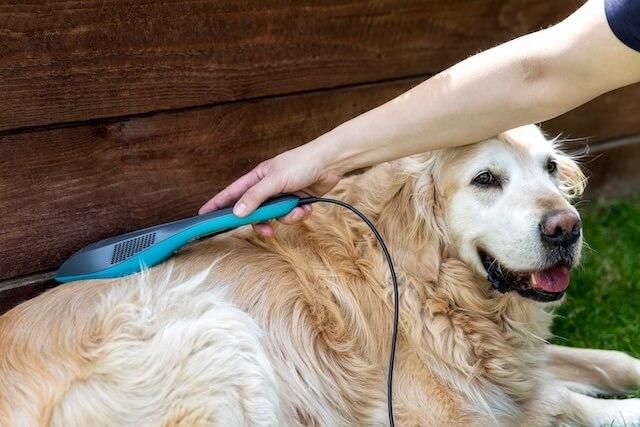Laser Therapy